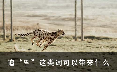 追“?”这类词可以带来什么